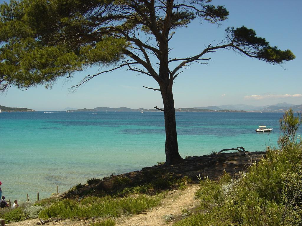 Ibis Golfe De Saint-Tropez Hotel Cogolin Eksteriør billede